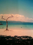 blogphoto125-2.jpg